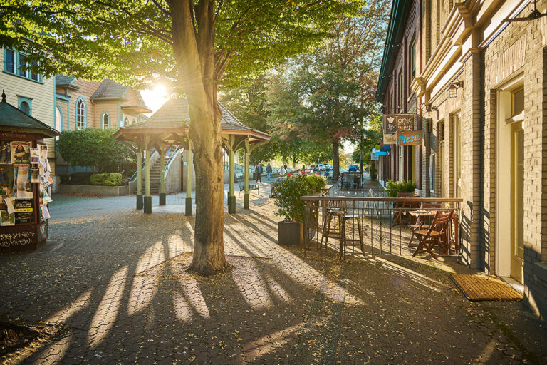 An area of cobblestone streets, a gazebo, some trees, and some local businesses