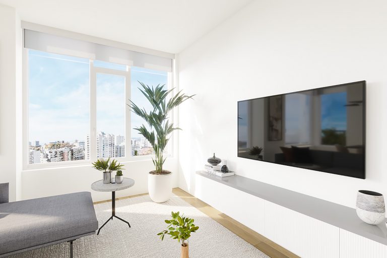 A living space featuring a TV, houseplant, small side table, and rug.